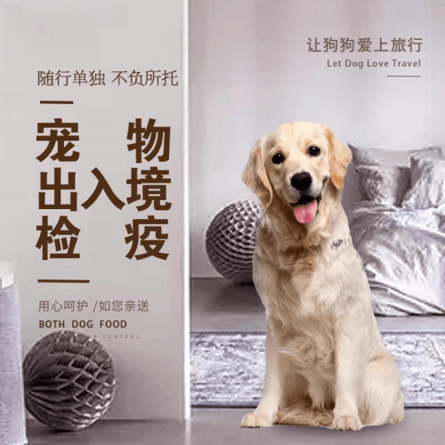 荆门市宠物托运到哥伦比亚猫狗宠物入境规定和