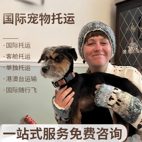 荆门市国际宠物托运到阿根廷宠物入境规定和要