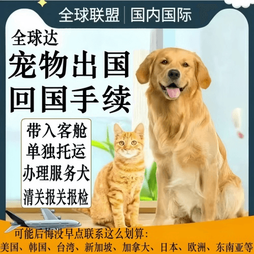 荆门市宠物托运到柬埔寨宠物入境规定和要求
