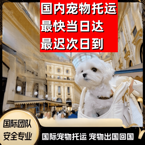 荆门市到澳大利亚（澳洲）宠物入境规定和要求