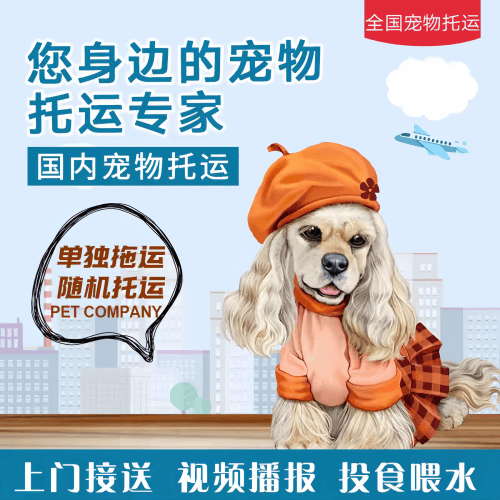 满财荆门市宠物全球达宠物托运作为专业的宠物运输代理机构